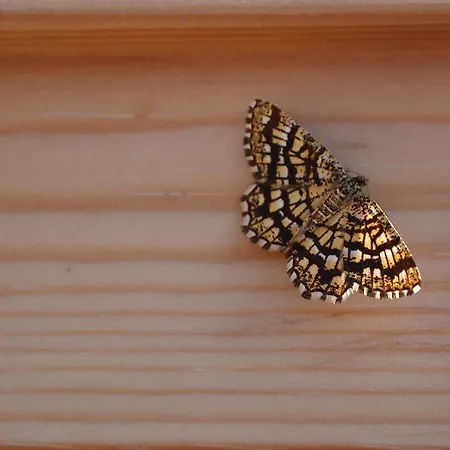 La Clede D'entraygues